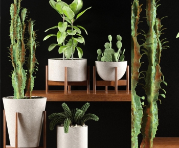 Modern Potted Green Plant-ID:603072731