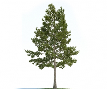 Modern Tree/shrub/grass-ID:579956773