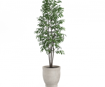 Modern Potted Green Plant-ID:970514316
