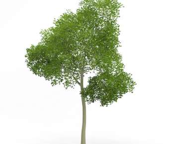 Modern Tree/shrub/grass-ID:152195525