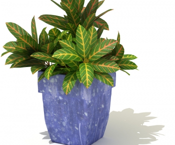 Modern Potted Green Plant-ID:428054475