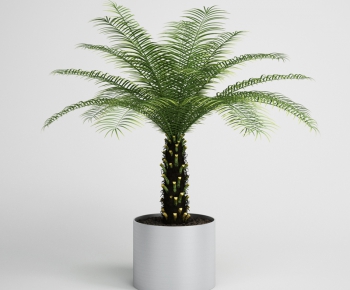 Modern Potted Green Plant-ID:759766236
