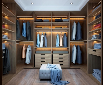 Modern Clothes Storage Area-ID:341351577