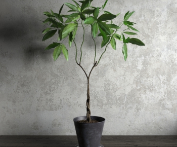 Modern Potted Green Plant-ID:845699271