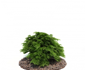 Modern Tree/shrub/grass-ID:442648837