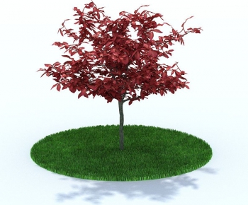 Modern Tree/shrub/grass-ID:454416936