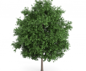 Modern Tree/shrub/grass-ID:422074151