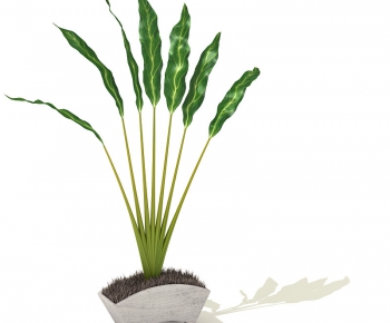 Modern Potted Green Plant-ID:581250736