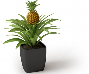 Modern Potted Green Plant-ID:443913872