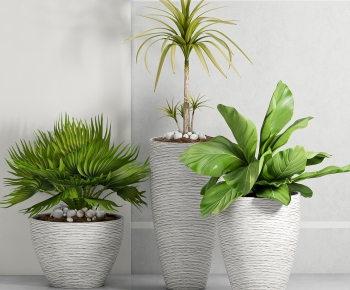 Modern Potted Green Plant-ID:463810397