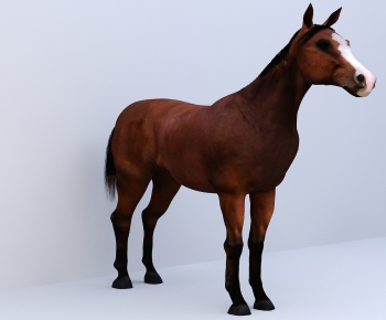 Modern Animal Horse-ID:699796488