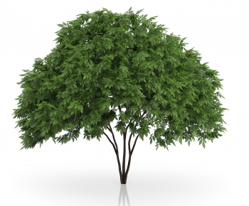 Modern Tree/shrub/grass-ID:241553697