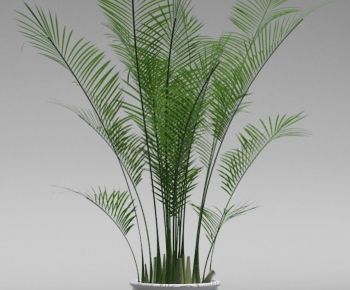Modern Potted Green Plant-ID:570185764