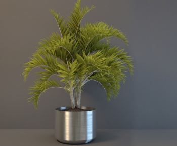Modern Potted Green Plant-ID:849782699