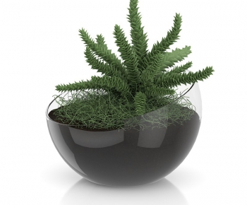 Modern Potted Green Plant-ID:519508931