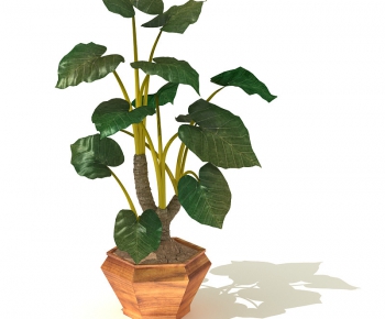Modern Potted Green Plant-ID:362327396