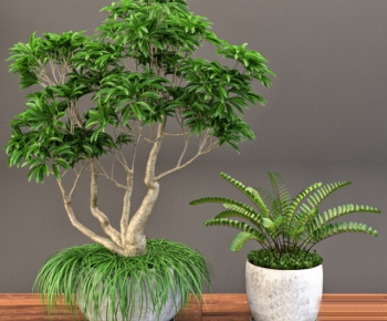 Modern Potted Green Plant-ID:324973844