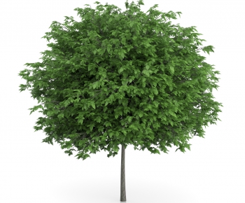Modern Tree/shrub/grass-ID:724512782