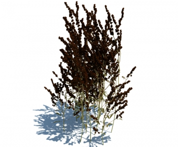 Modern Tree/shrub/grass-ID:897582717