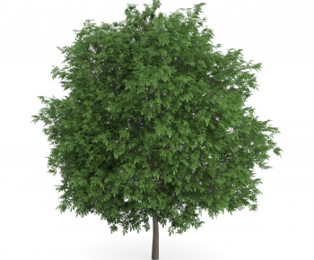 Modern Tree/shrub/grass-ID:310325275
