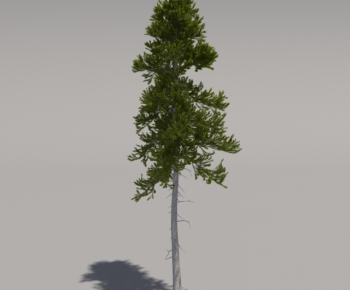 Modern Tree-ID:746358178