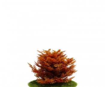 Modern Tree/shrub/grass-ID:484377962