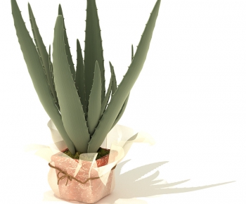 Modern Potted Green Plant-ID:660455297