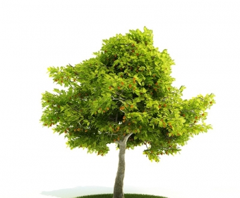 Modern Tree/shrub/grass-ID:629315582