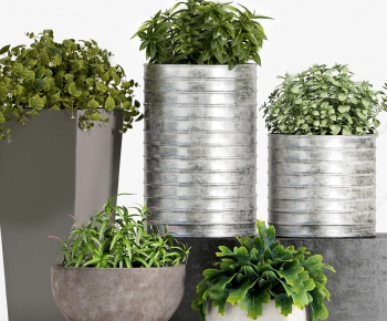 Modern Potted Green Plant-ID:728399418