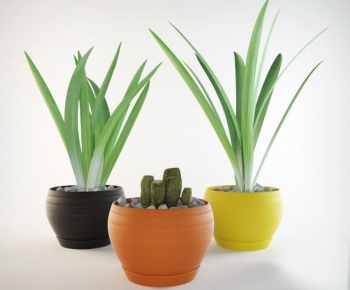 Modern Potted Green Plant-ID:809571259