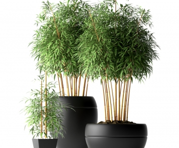 Modern Potted Green Plant-ID:683336445