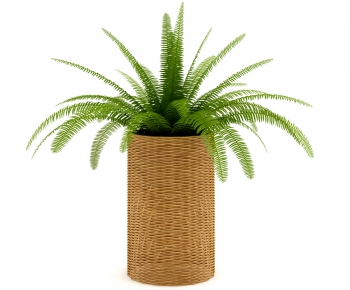 Modern Potted Green Plant-ID:493221428