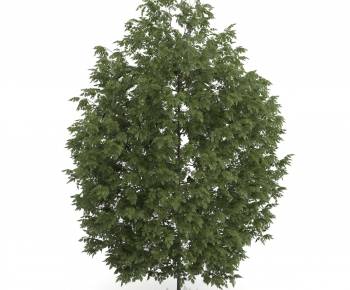 Modern Tree/shrub/grass-ID:690211945