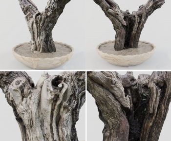 Modern Root Carving-ID:493916215