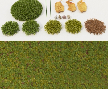 Modern Plant-ID:680653712