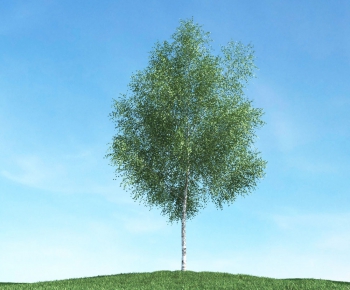Modern Tree/shrub/grass-ID:869342157