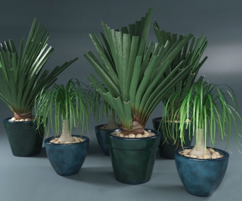 Modern Potted Green Plant-ID:488235178
