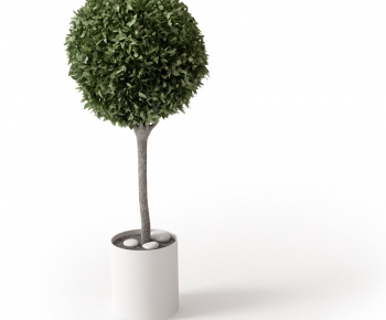 Modern Potted Green Plant-ID:357948681