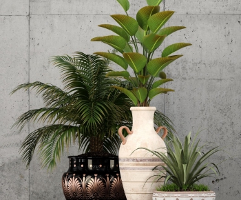 Modern Potted Green Plant-ID:978306179