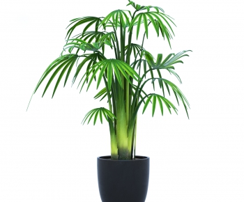 Modern Potted Green Plant-ID:487547727