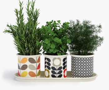 Modern Potted Green Plant-ID:576475821