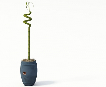 Modern Potted Green Plant-ID:706972528
