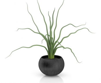 Modern Potted Green Plant-ID:928795922