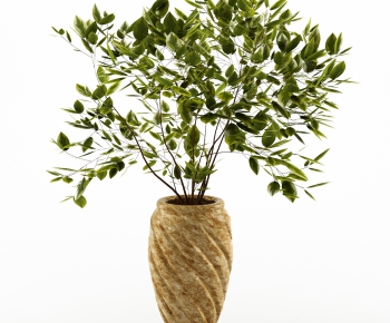 Modern Potted Green Plant-ID:200016524
