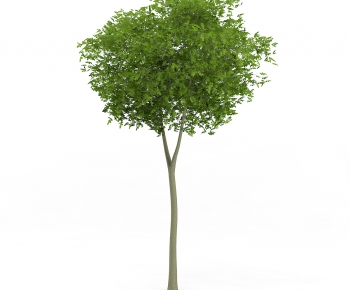 Modern Tree/shrub/grass-ID:260385213