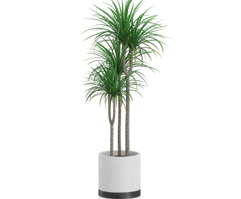 Modern Potted Green Plant-ID:531296243