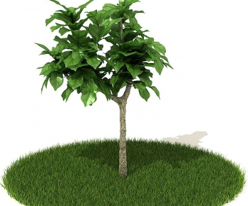 Modern Tree/shrub/grass-ID:813244647