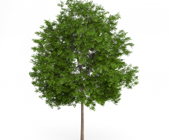Modern Tree/shrub/grass-ID:500325166
