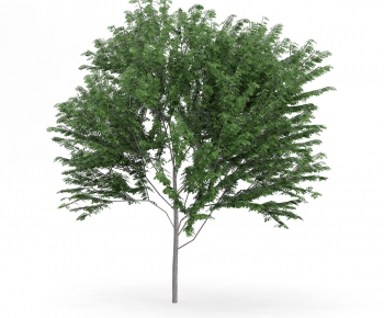 Modern Tree/shrub/grass-ID:371527872