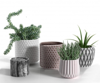 Modern Potted Green Plant-ID:802558183